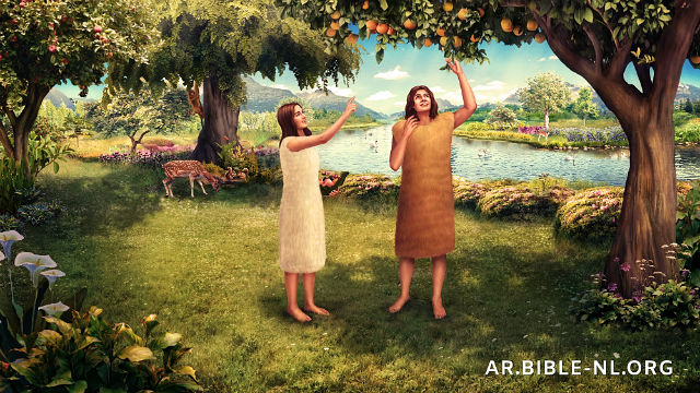 آدم وحواء يتمشيان في جنة عدن 