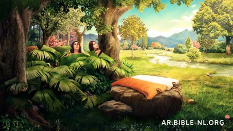 الله شخصيًا يصنع أقمصة من جلد لآدم وحواء