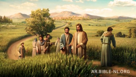 ابن الانسان هو رب السبت أيضًا