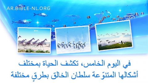 في اليوم الخامس، خلق الله طيورًا مُجنَّحة ومخلوقات في المياه