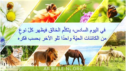 في اليوم السادس، يتكلّم الخالق فيظهر كلّ نوعٍ من الكائنات الحيّة واحدًا تلو الآخر بحسب فكره