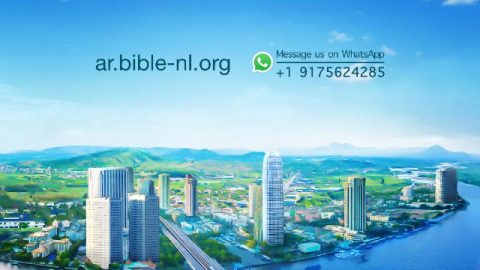 مصير البشريّة ومصير الكون غير منفصلين عن سيادة الخالق