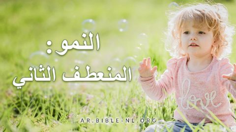 النمو: المنعطف الثاني