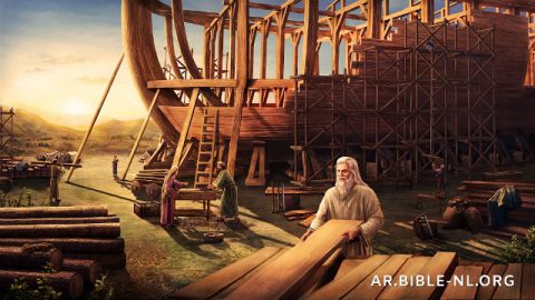 نوح يطيع كلمة الله ويبني فُلكًا