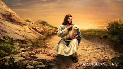 مَثَل الخروف الضال