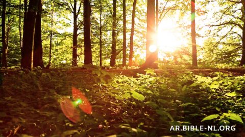 درجة الحرارة