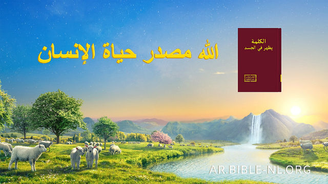 دراسة الكتاب المقدس - الله مصدر حياة الإنسان