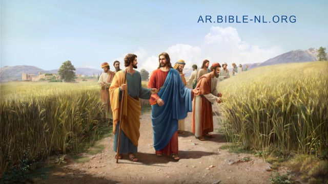 لماذا لم يحفظ الرب يسوع السبت؟