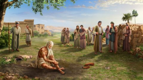 أيوب يُجرَّب