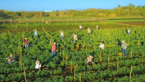 رؤية إمداد الله للبشر من بيئة المعيشة الأساسية التي يخلقها الله للبشرية