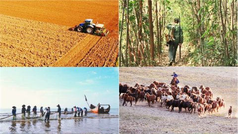 لقد تطوَّرت الحدود من أنماط الحياة المُتنوِّعة للبشر