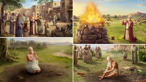 أيُّوب يبارك اسم الله