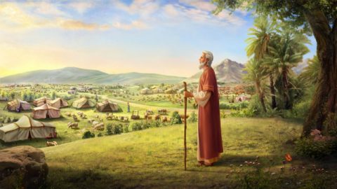 القيمة التي حياها أيُّوب خلال حياته