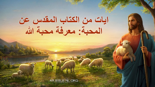 ايات من الكتاب المقدس عن المحبة: معرفة محبة الله