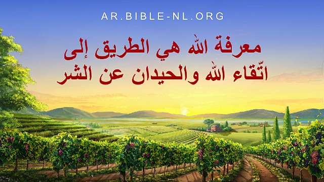 كلمات الله اليومية | "معرفة الله هي الطريق إلى اتّقاء الله والحيدان عن الشر" | اقتباس 4